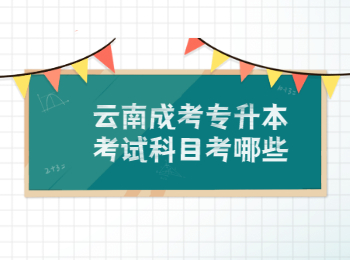 云南成考專升本考試科目