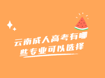 云南成人高考專業 云南成人高考