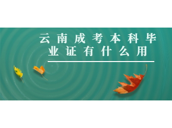 云南成考本科畢業證