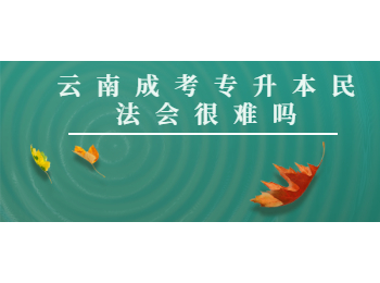 云南成考專升本民法