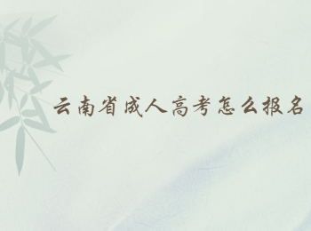 云南省成人高考報名