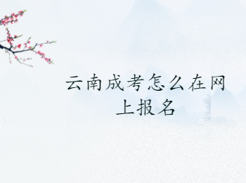 云南成考網上報名