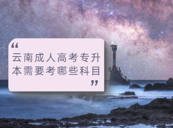 云南成人高考專升本 