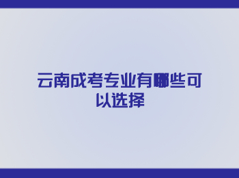 云南成考專業 云南成考