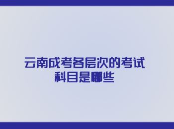 云南成考考試科目 云南成考