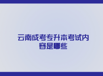 云南成考專升本考試內容