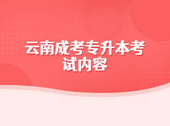 云南成考專升本考試內容