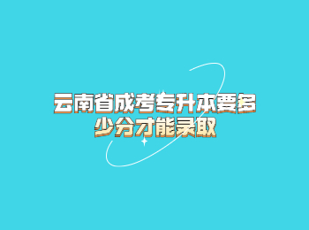 云南省成考專升本 云南省成考