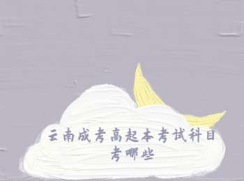 云南成考高起本考試科目