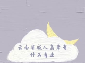云南省成人高考專業(yè)