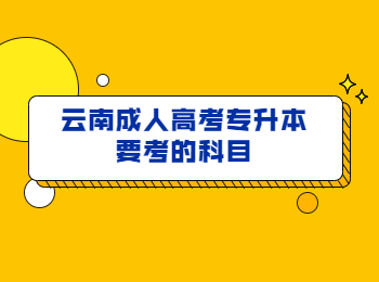 云南成人高考專升本