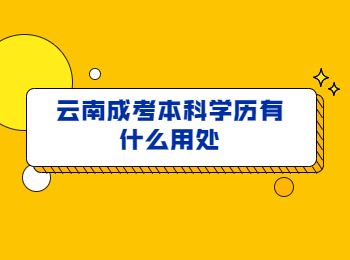 云南成考本科學歷