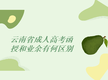 云南省成人高考函授