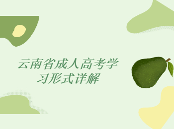 云南省成人高考學習形式