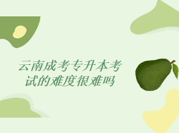 云南成考專升本考試 云南成考專升本