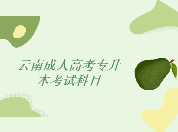 云南成人高考專升本考試科目