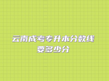 云南成考專升本分數線