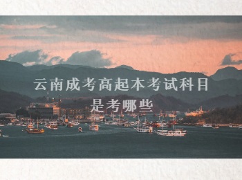云南成考高起本考試科目