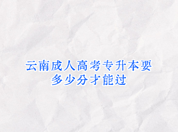 云南成人高考專升本