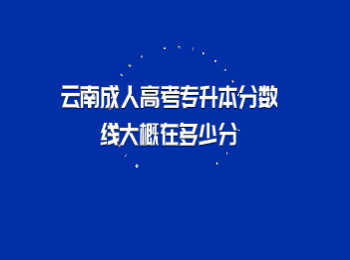 云南成人高考專升本分?jǐn)?shù)線