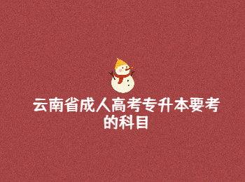 云南省成人高考專升本