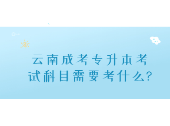 云南成考專升本考試科目