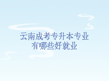 云南成考專升本專業