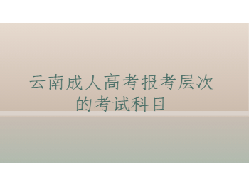 云南成人高考考試科目