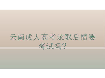 云南成人高考 云南省成人高考