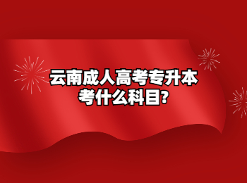 云南成人高考專升本