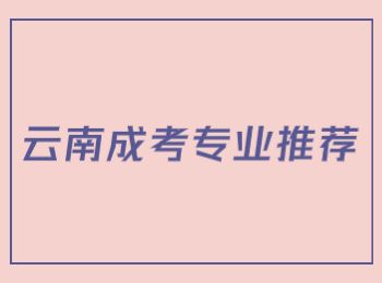 云南成人高考