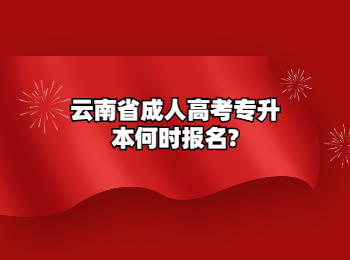 云南省成人高考專升本