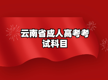 云南省成人高考考試科目