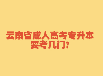 云南省成人高考專升本