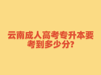 云南成人高考專升本