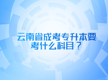云南省成考專升本 云南成考