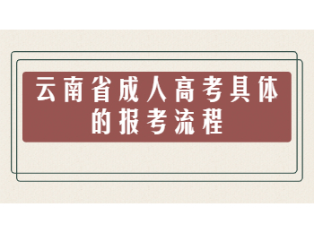 云南省成人高考報考流程
