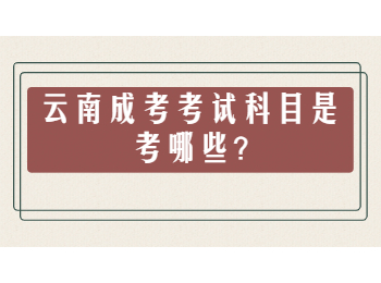 云南成考考試科目