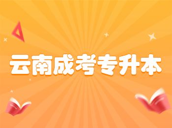 云南成人高考