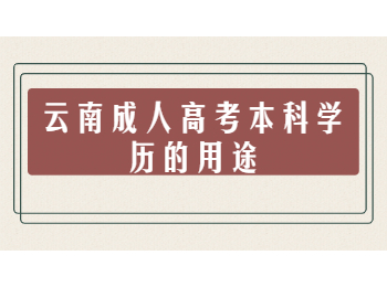 云南成人高考本科學歷