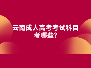 云南成人高考考試科目