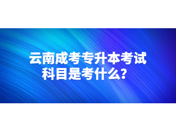 云南成考專升本考試科目