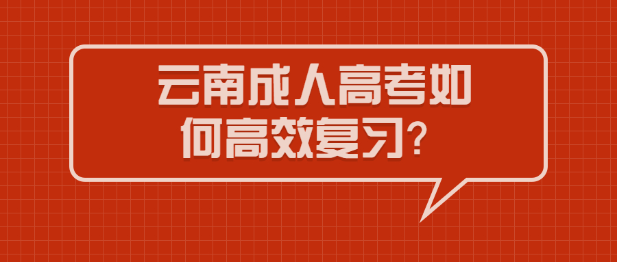 云南成人高考復習？