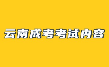 2024年云南成考考試內(nèi)容是什么？