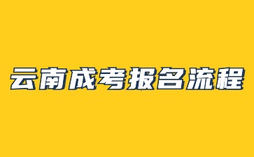 2024年云南成人高考報名流程步驟解析？