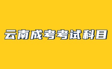 2024年云南成考考試層次科目有哪些?