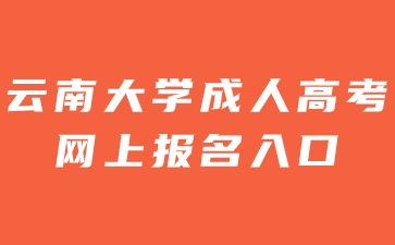 2024年云南大學成人高考網上報名入口是那個？