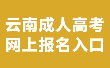 2024年云南成人高考網上報名入口官網