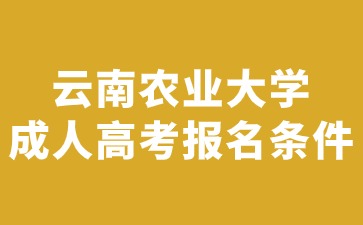 2024年云南農業大學成人高考報名條件說明