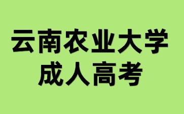 2024年云南農業大學成人高考本科畢業可以參加考研嗎？